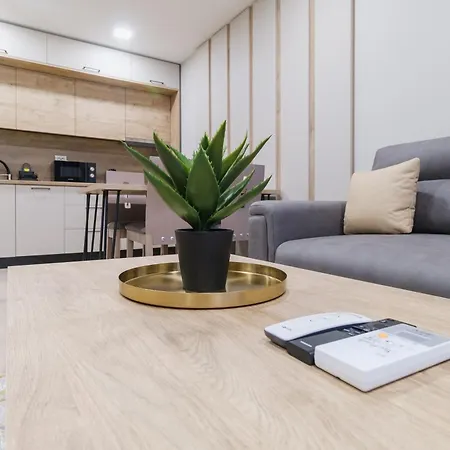 Ldv 13 Free Private Parking Apartment *